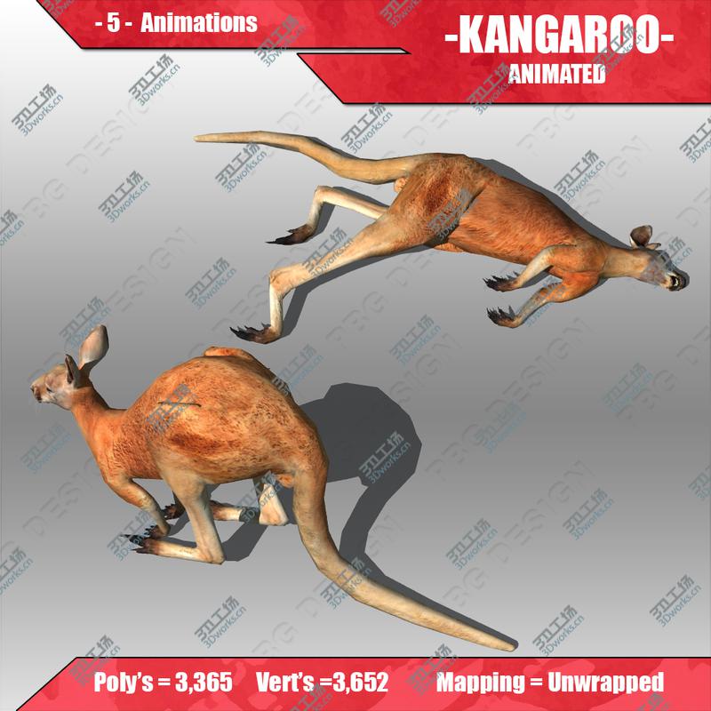 images/goods_img/2021040162/Kangaroo Animated/4.jpg